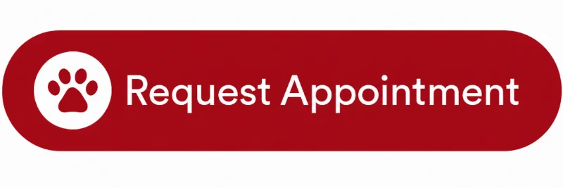 Request an Appointment